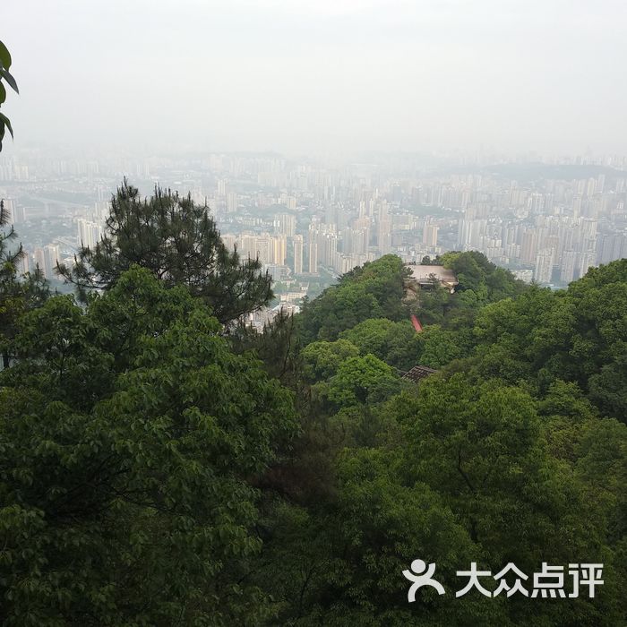 歌樂山國家森林公園