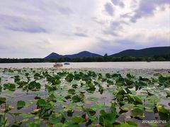 -云龙湖旅游景区