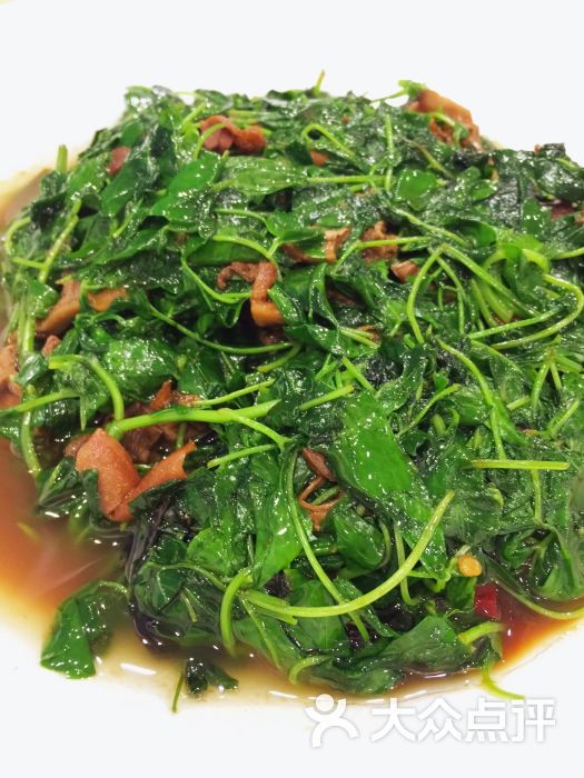 崇明菜馆-蚌肉菜头图片-上海美食-大众点评网