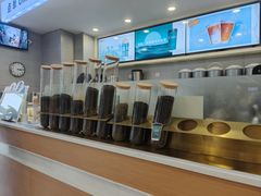 -雾与山茶(大禹城店)