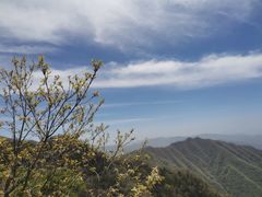 -王顺山国家森林公园