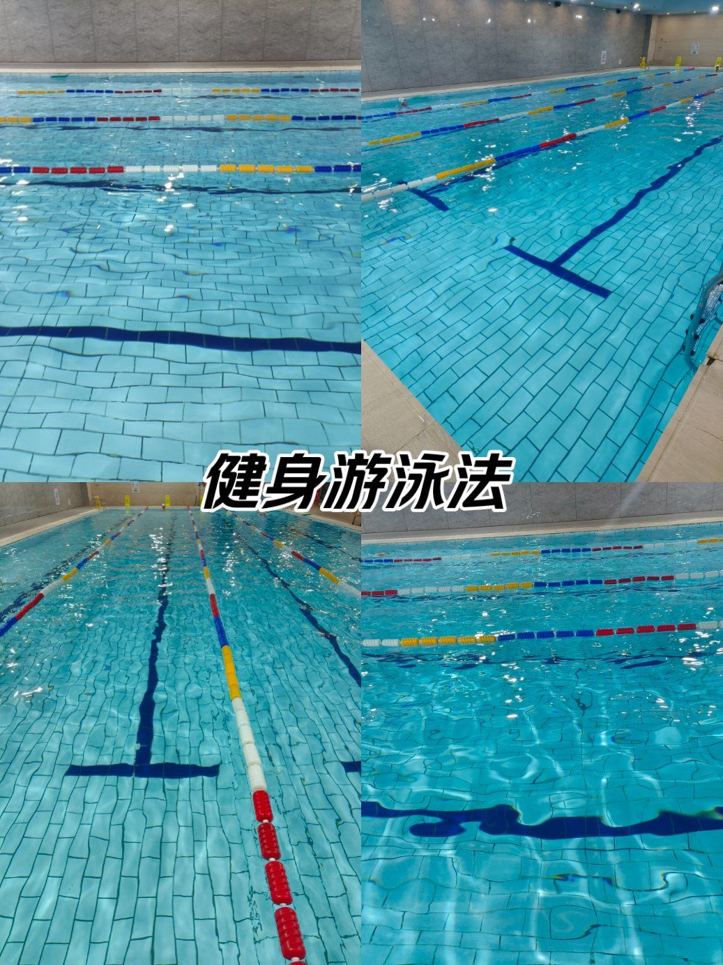 自由泳曲臂教学