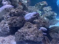 -海合安天津极地海洋公园