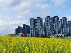 -光明小镇欢乐田园