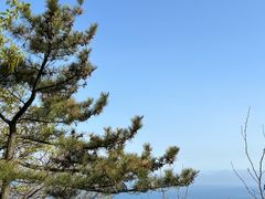 -燕窝岭