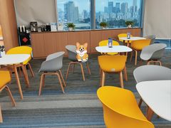 -启德考培雅思托福留学(香洲校区)