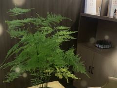 -益健·足疗汗蒸SPA(芙蓉广场店)