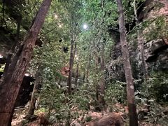 -浙江自然博物院(杭州馆)