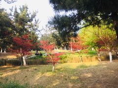 -鹦鹉寺公园