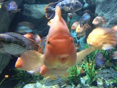 罗源湾海洋世界-福州罗源湾海洋世界旅游区