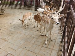 -西安秦岭野生动物园