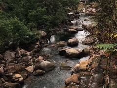 -崂山水果园农家宴(泉水鸡店)