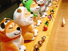 -柴务处·柴犬主题狗咖