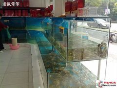 -陈长荣生态大闸蟹(盐城店)