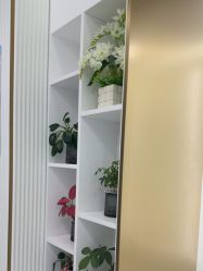-杭州奥拉克医疗美容门诊部