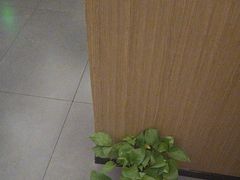 -耳湾躺式采耳SPA馆(保利五月花店)