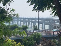 -星海湾跨海大桥