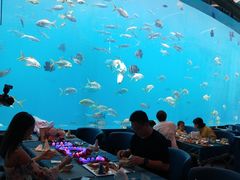 -瑞德姆美人鱼海底演艺主题餐厅(亚龙湾店)