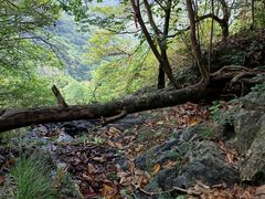 -梧桐山风景名胜区