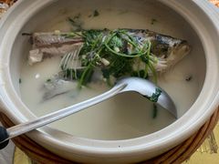 -天乐农家鱼头王(天目湖店)