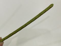 -全家便利店(秀沿路二店)