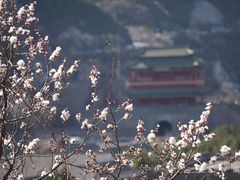 -居庸关长城