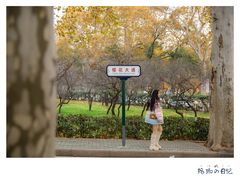 -武汉大学-樱园