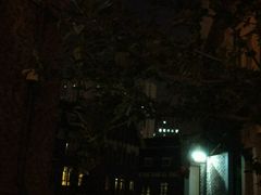 -天津津利华酒店