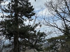 -华山风景名胜区