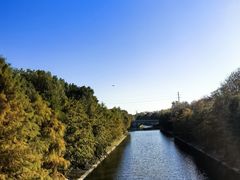 -上海海湾国家森林公园