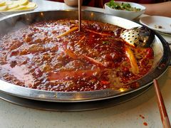 牛油小红锅-之了火锅(公园街店)