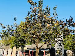 -北京石刻艺术博物馆(五塔寺)
