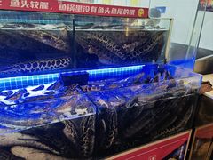 水产区-江南鱼捞(北仑银泰城店)