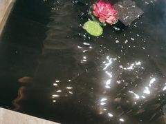 -臻品足道(佛祖岭店)