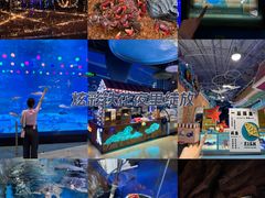 -烟台海昌鲸鲨海洋公园