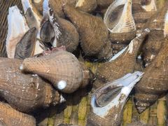 -龙宴海鲜城(经中路店)