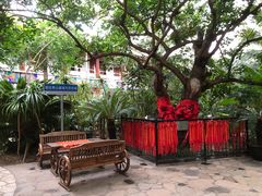 -寿山福海养老服务中心(石景山院)