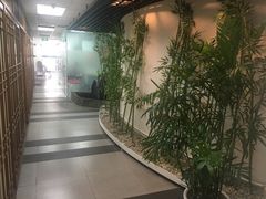 -樱花国际日语(徐家汇中心)