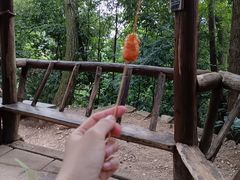 -青城山