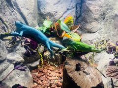 -成都浩海立方海洋公园