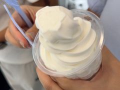 牛奶冰淇淋-白色日记·手作酸奶(麦凯乐店)