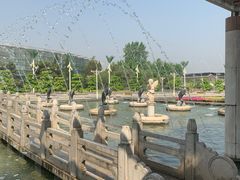 -石家庄市植物园