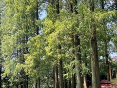 -T80科技文化国际社区-停车场