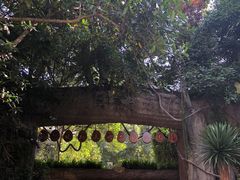 大门入口处-西双版纳原始森林公园