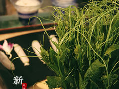 -新草堂锅物料理(泉城路店)