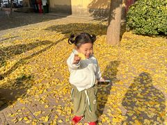 -东坝千亩湖公园