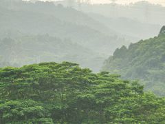 -白石龙音乐公园