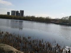 -青城公园