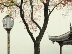 -老门东历史文化街区