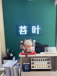 -菩叶脱发白发中心